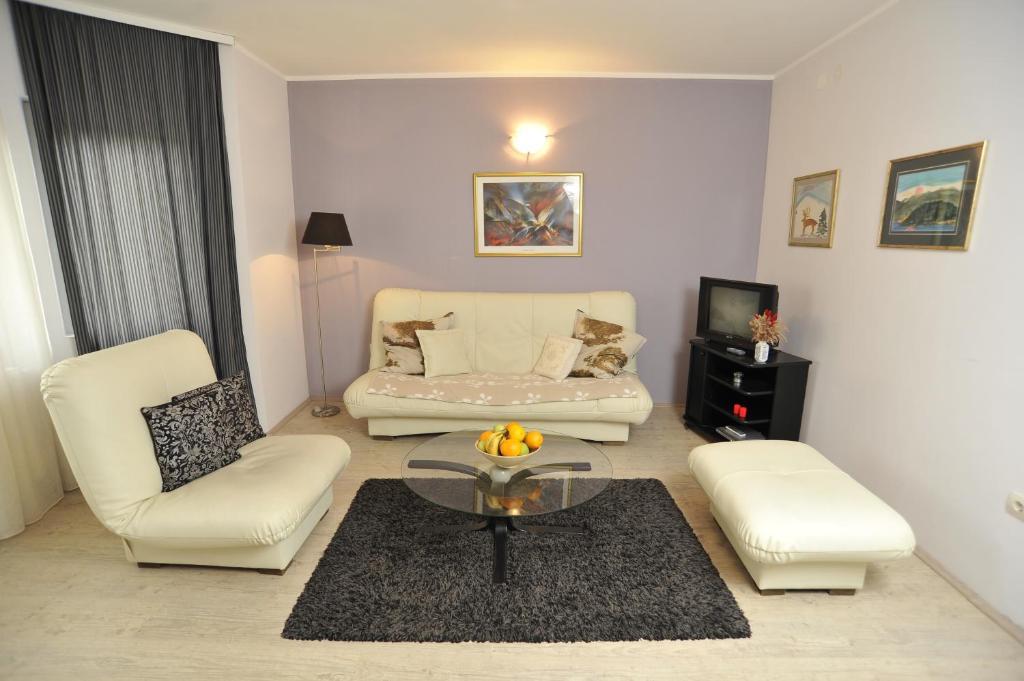 Apartments Izvor Vrdnik Bilik gambar